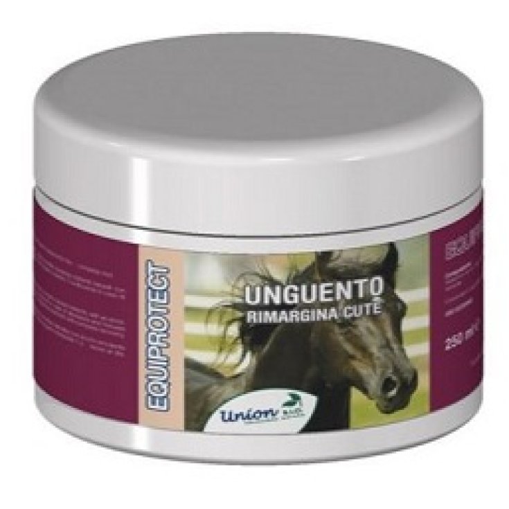 EQUIPROTECT UNG RIM CUTE 250ML