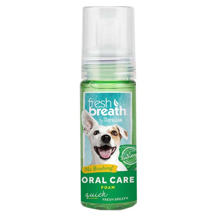 FRESH BREATH ORAL CARE FOAM