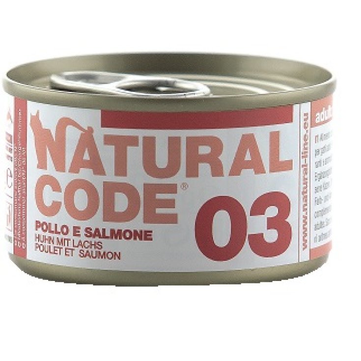 03 Pollo e Salmone - 85GR