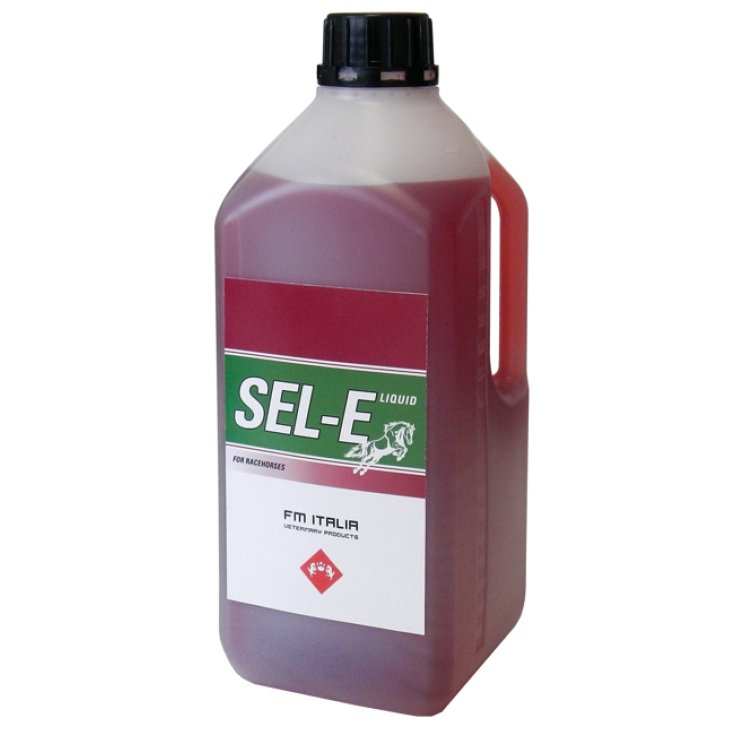 SEL-E LIQUIDO 1900ML