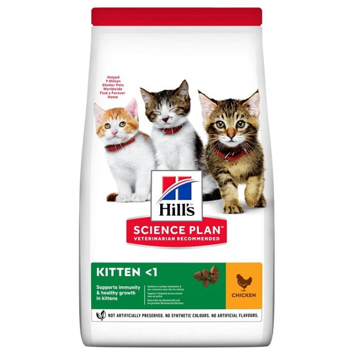 Science Plan Kitten con Pollo > 1 anno - 300GR