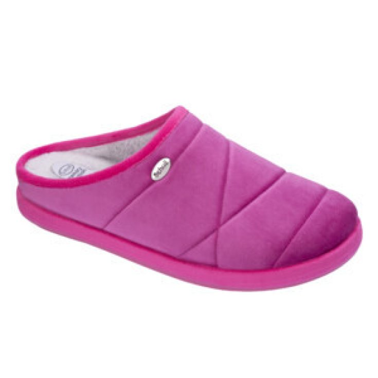 Holly 2.0 Fuchsia Tg.40 Scholl 