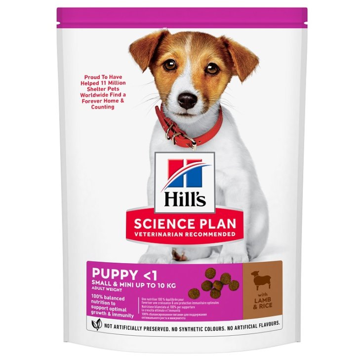 Science Plan Small & Mini Puppy con Agnello con Riso - 300GR