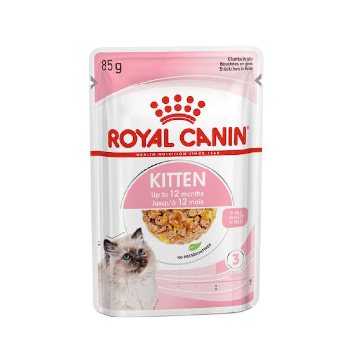 FHN WET KITTEN JELLY 12X85G