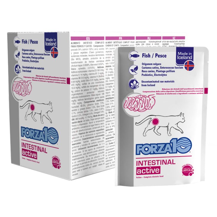 Actiwet Cat Intestinal Pesce - 100GR