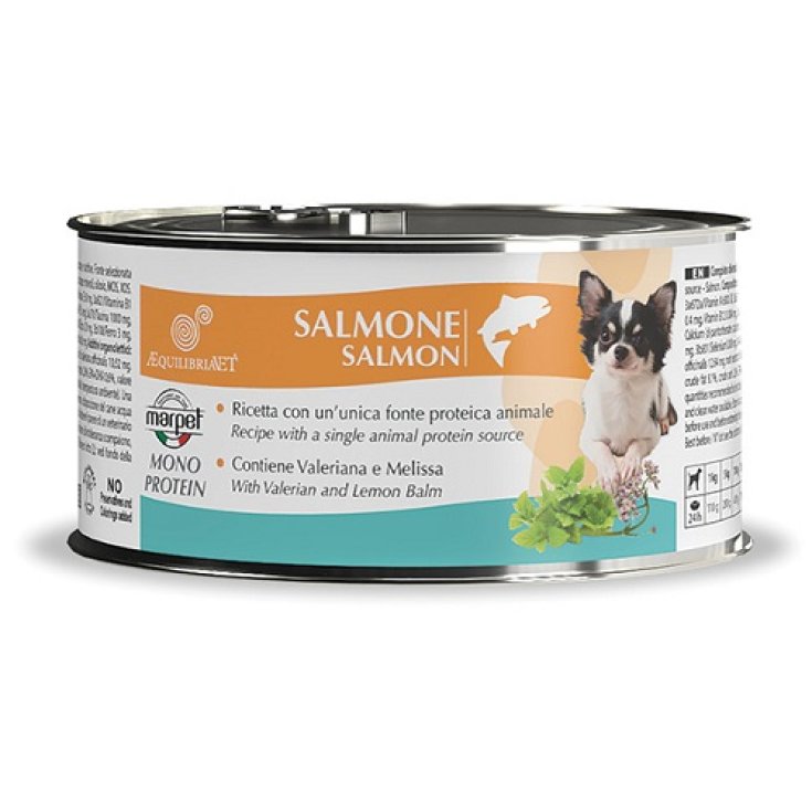 AEQUILIBRIAVET DOG SALM 150G