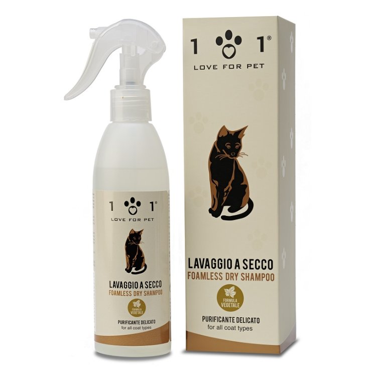 LAVAGGIO SECCO GATTI 250ML