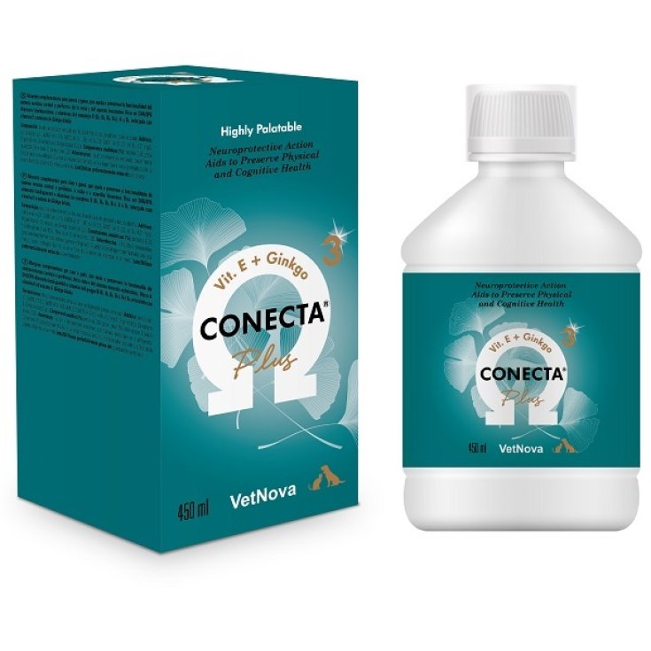 CONECTA PLUS 450ML