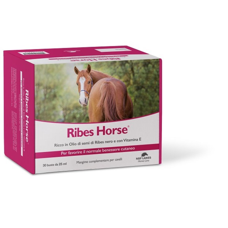 RIBES HORSE 30BUST