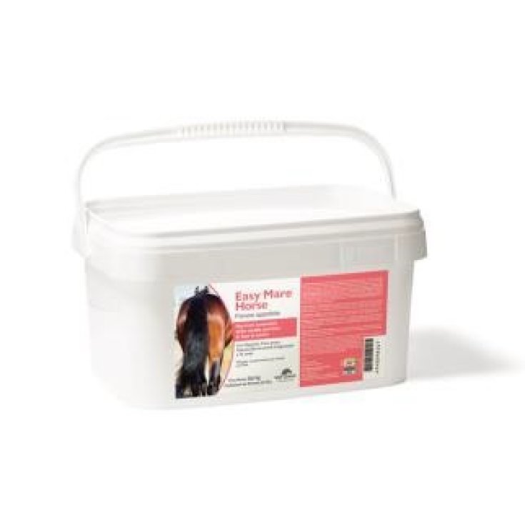 EASY MARE HORSE POLVERE APPET