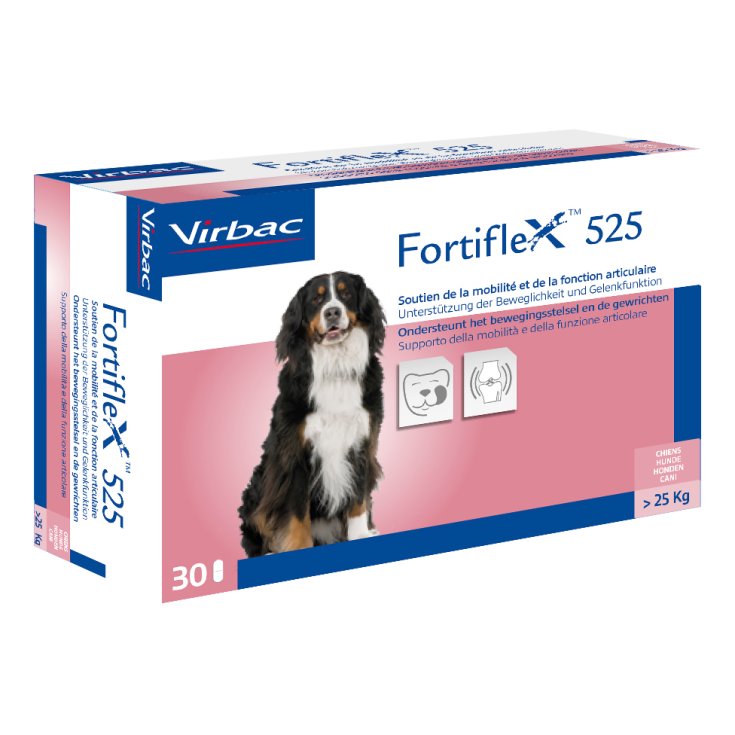 Fortiflex - 30X525MG