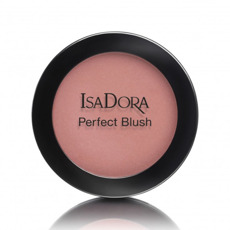 Isadora Perfect Blush 62 Dusty Rose