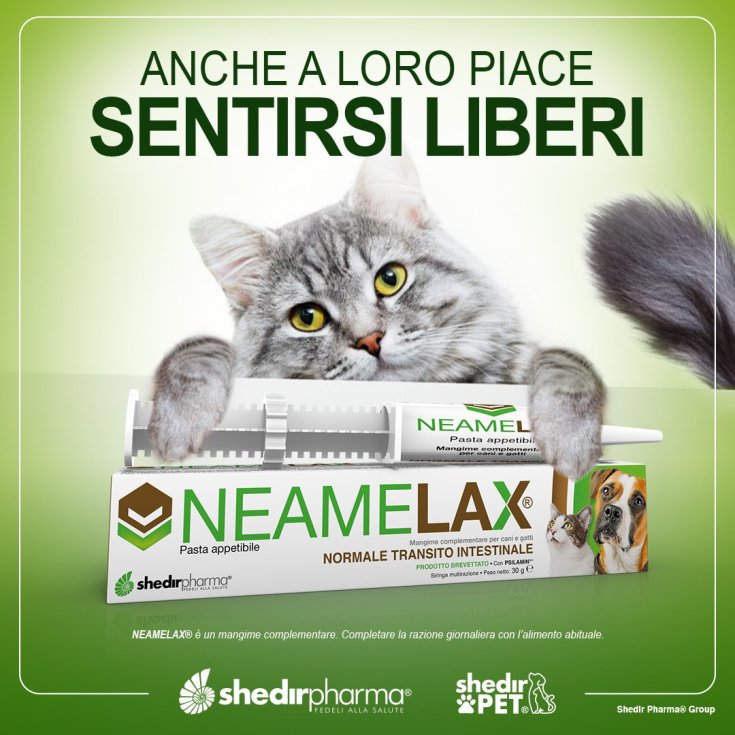 NeameLax® Pasta ShedirPharma® 30g
