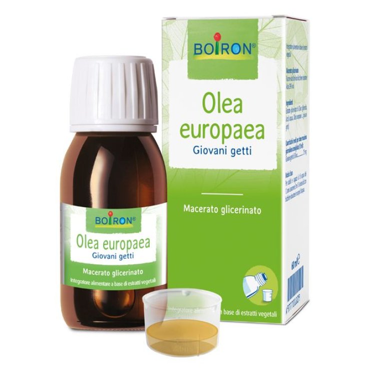 Olea Europaea Macerato Glicerico Boiron 60ml