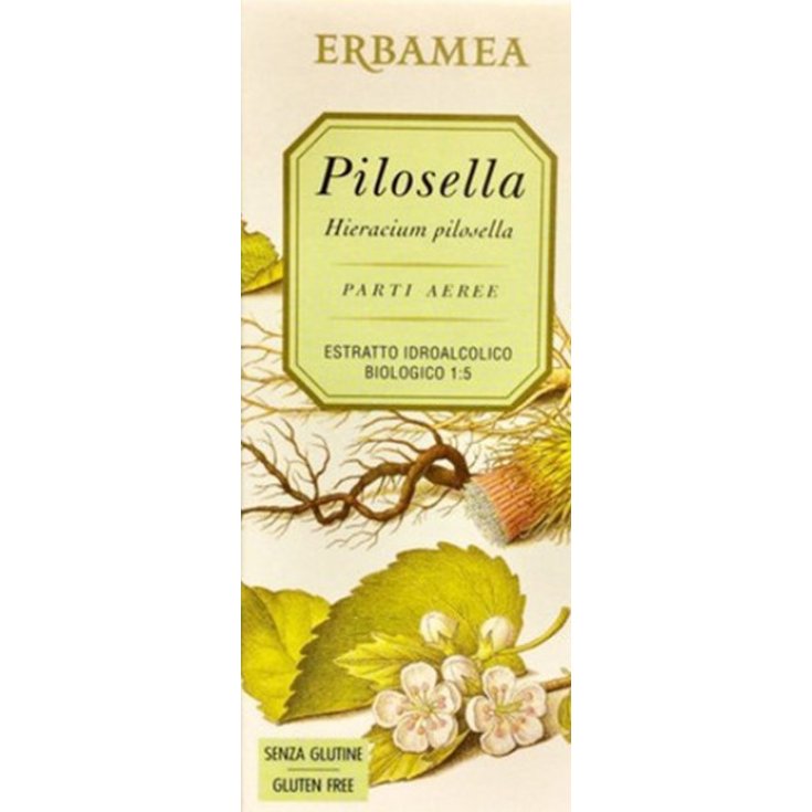 Pilosella Erbamea 50ml