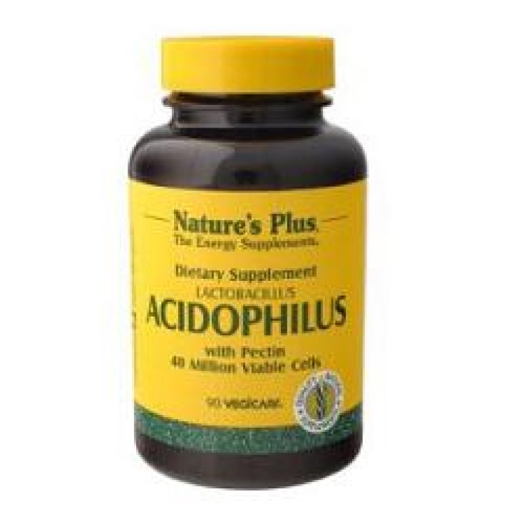 Acidophilus 90 Capsule