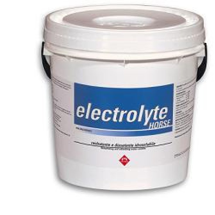 Electrolyte Horse Reidratante in Polvere Idrosolubile per Cavalli 3kg