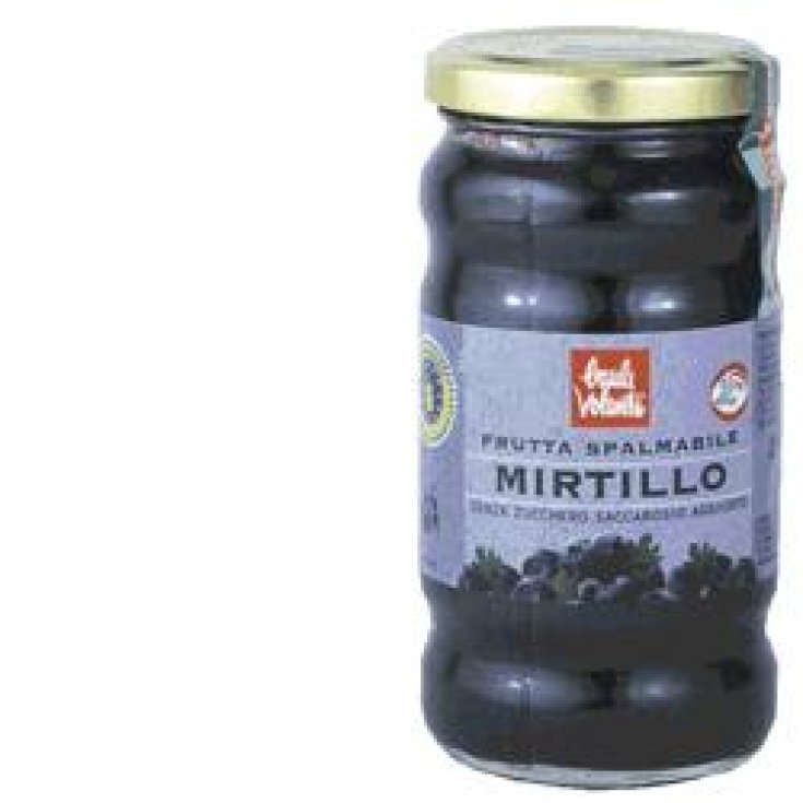 Frutta Spalmab Mirtillo 280g