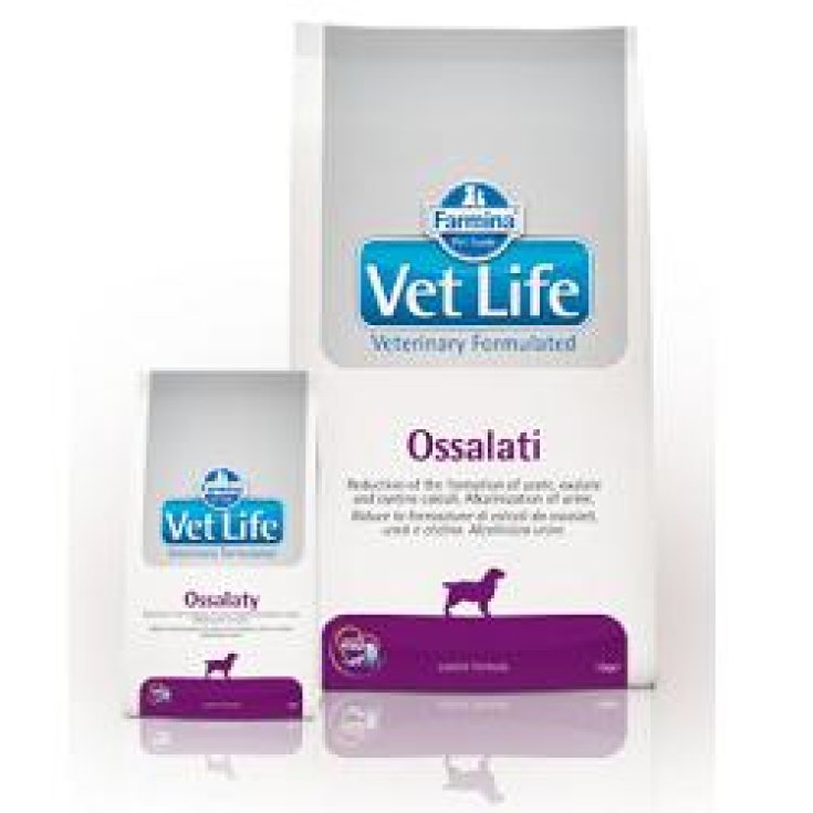 Vet Life Oxalate - 2KG