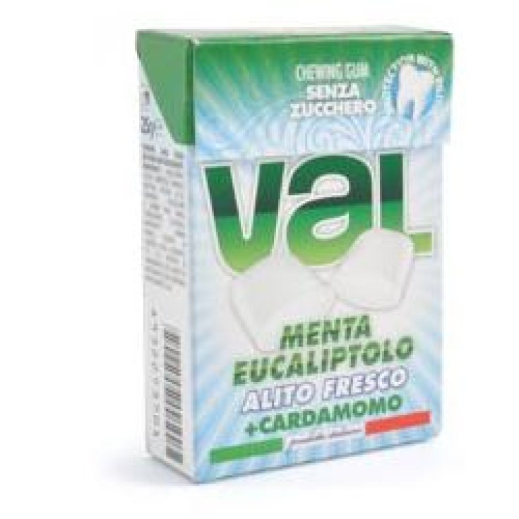 Val Chewing Gum Alla Menta Eucaliptolo Senza Zucchero 25g