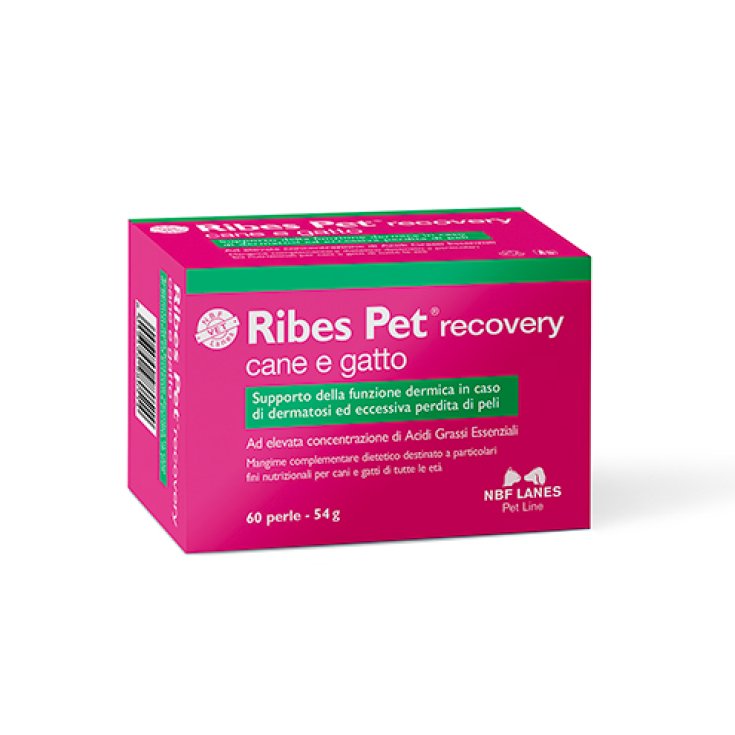 Ribes Pet Recovery Cane e Gatto NBF Lanes 60 Perle