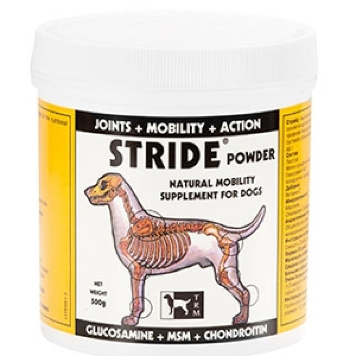 Stride Powder - 500GR