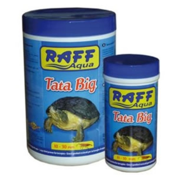 Tata Big - 40GR