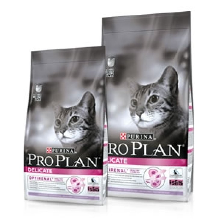 Pro Plan Delicate Ricco in Tacchino - 10KG