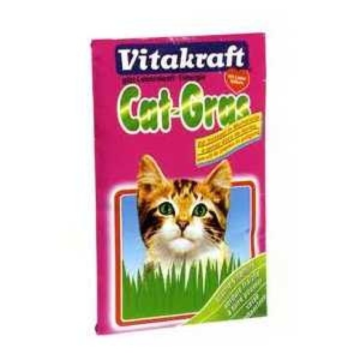 Cat Grass Ricarica - 50GR