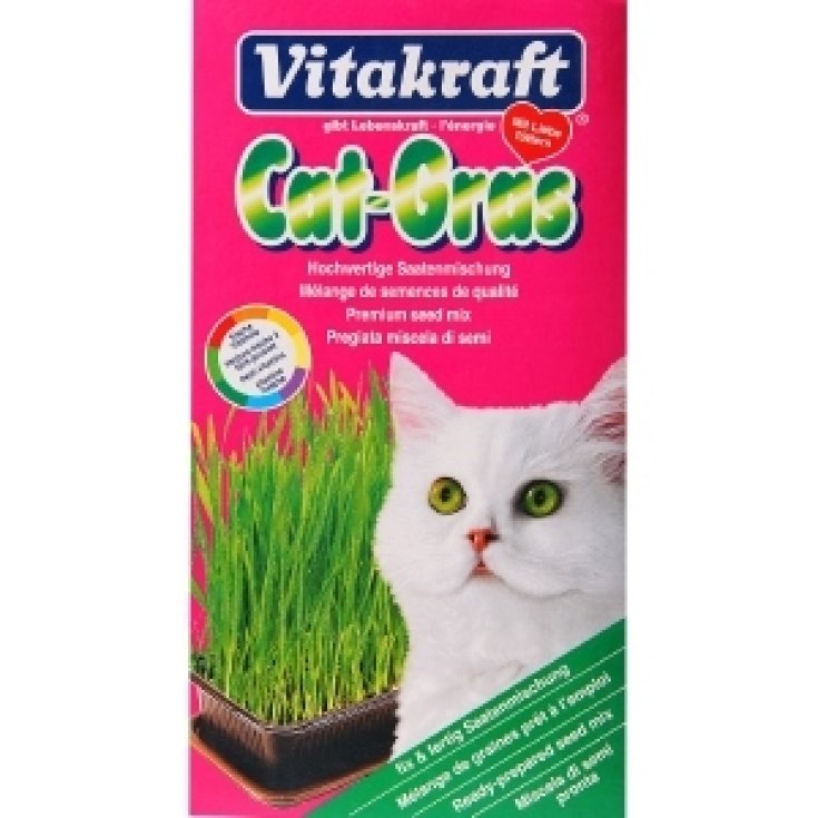 Cat Grass - 120GR