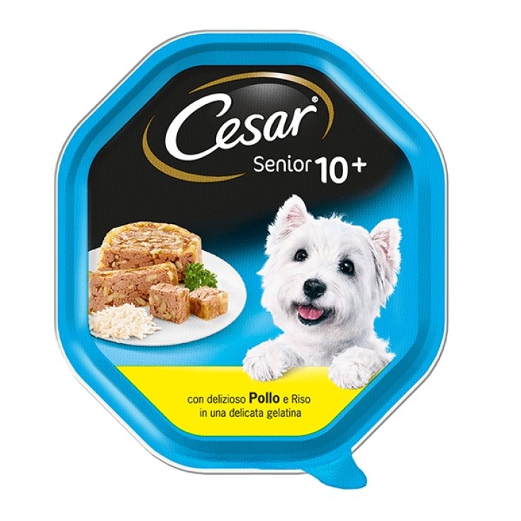 Senior 10+ Pollo e Riso in Gelatina - 150GR