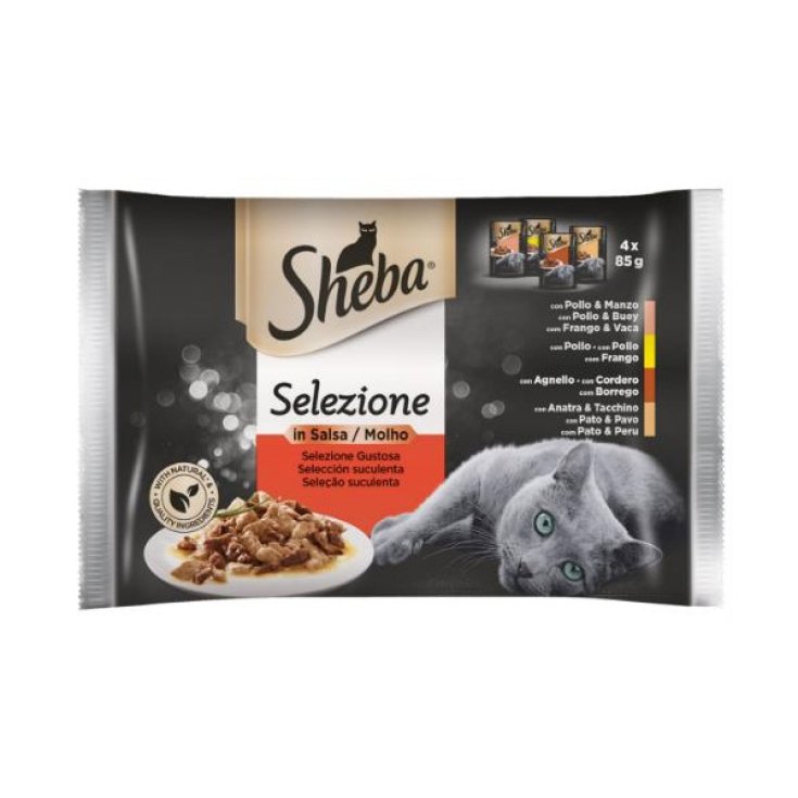 Selezione in Salsa Selezione Gustosa Carne - 85GR