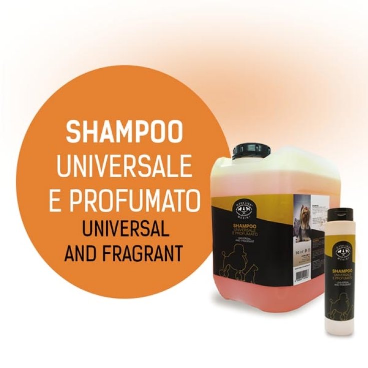 Shampoo Universale Profumato Agrumi - 10LT