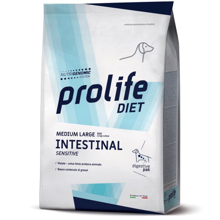 Dog Medium Large  Intestinal Sensitive - 8KG