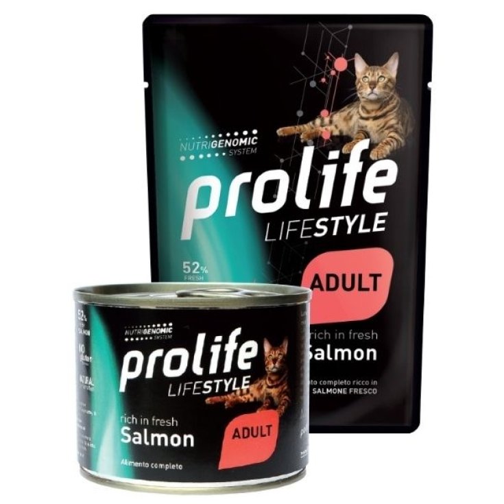 Life Style Adult Salmon - 200GR