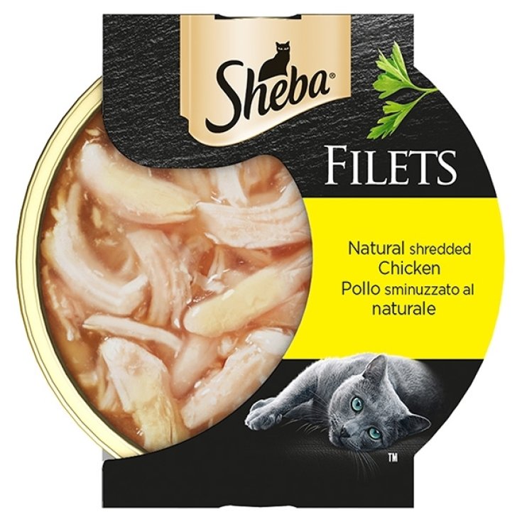 Filets Pollo Sminuzzato al Naturale - 60GR