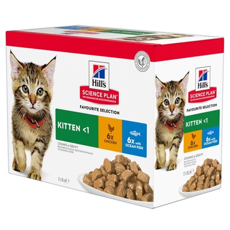 Science Plan Kitten Multigusto con Pollo e Pesce Oceanico - 12X85GR