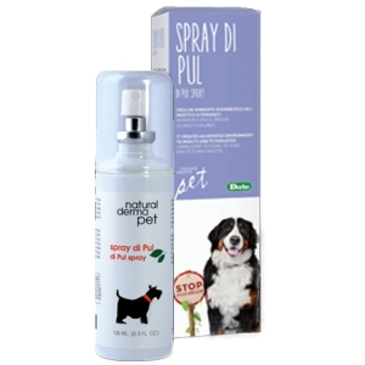 Spray Di Pul - 100ML