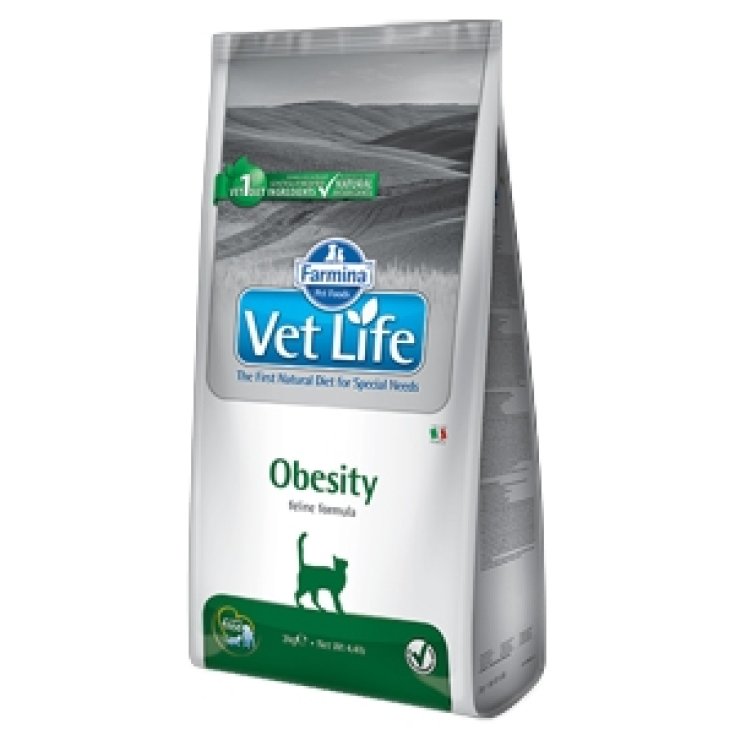 Vet Life Obesity - 2KG