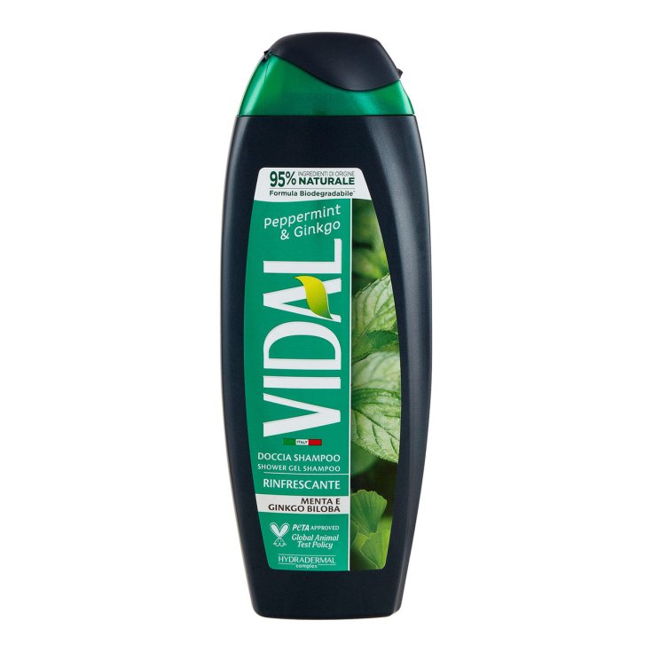 Doccia Shampoo Menta & Ginkgo Vidal 250ml