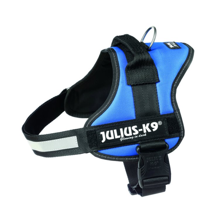 JULIUSK9 PETT 0/ML 5876/40 BLU