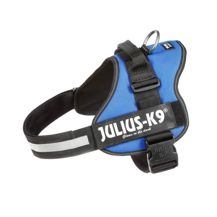 JULIUSK9 PETT LXL 7196 BLU