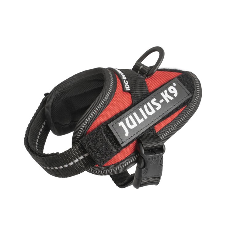 Julius-K9 K-9 Powerharness Dog Harness - Size 2 (Red), Chest 28-38", For Dogs 61.5-88 Lbs