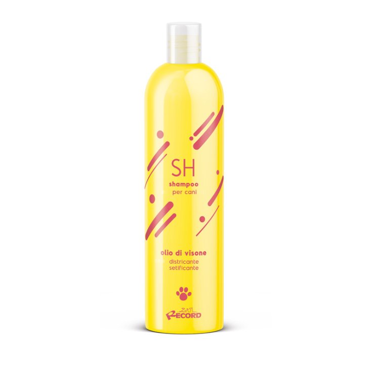 RECORD SHAMPOO OLIO VISONE