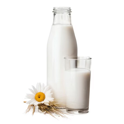 Latte e bevande vegetali