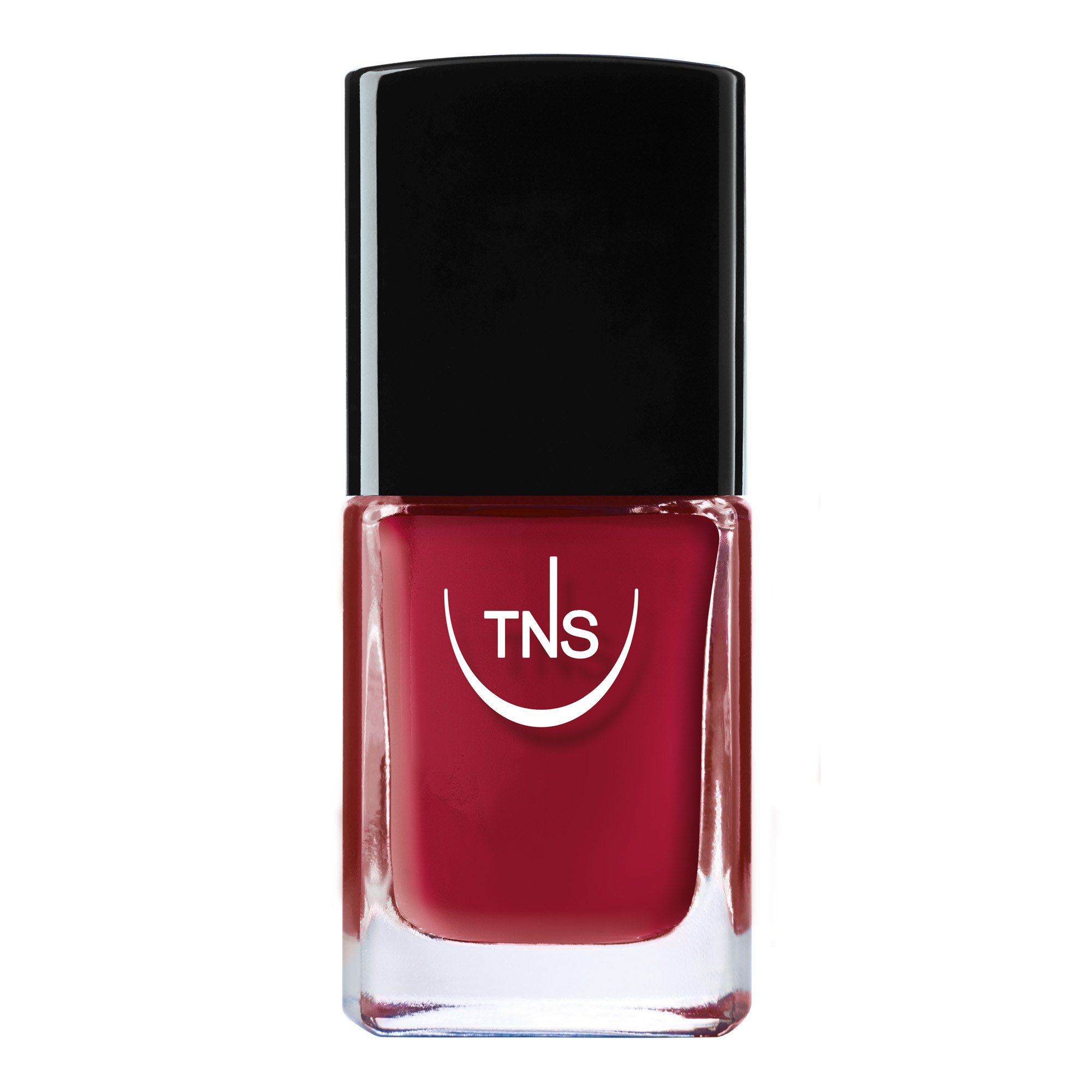 Image of Tns Nail Colour 258 Tecniwork(R) 10ml033