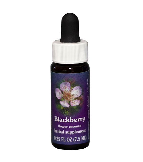 Blackberry Essenza Singola Californiana Flower Essence Society 7,4ml-image