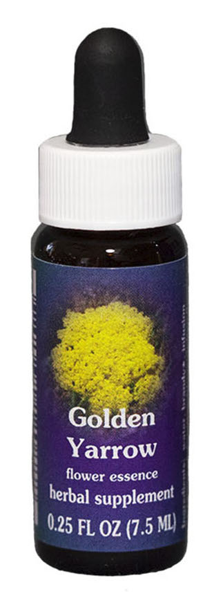 

Golden Yarrow Essenza Singola Californiana Flower Essence Society 7,4ml