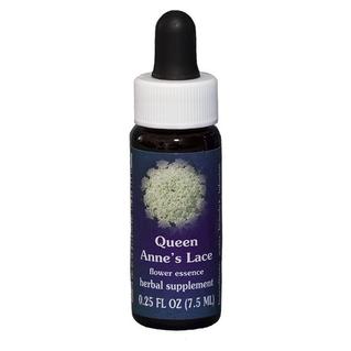 Image of Queen Anne&#39;s LaceEssenza Singola Californiana Flower Essence Society 7,4ml