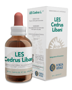 Image of Les Cedrus Libani Forza Vitale 50ml033